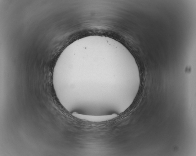 X0000111221061200907231435