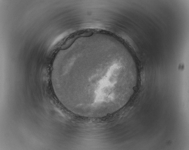 X0000111221064200907231435