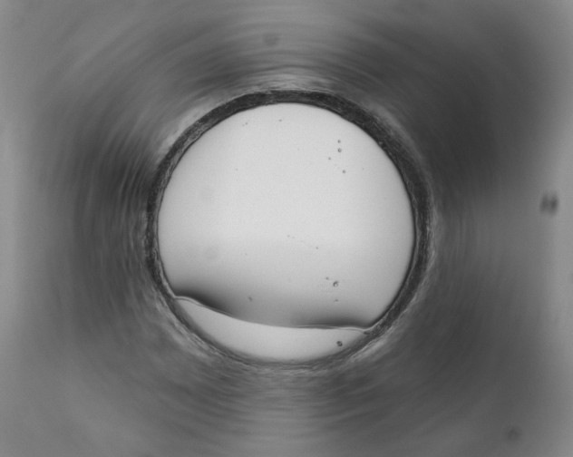 X0000111221065200907231435