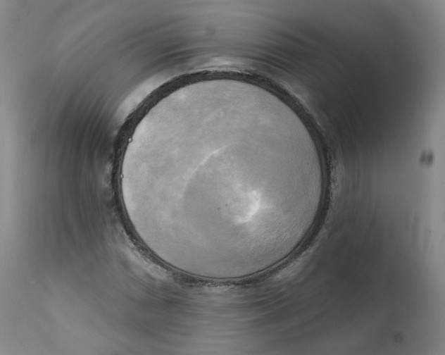 X0000111221066200907231435