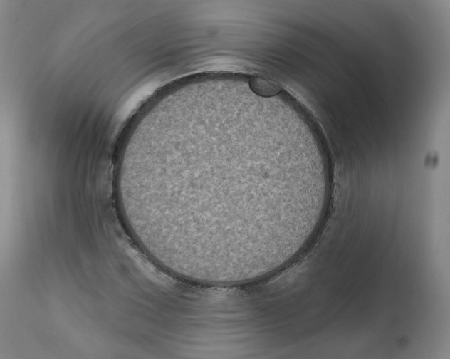 X0000111221067200907231435