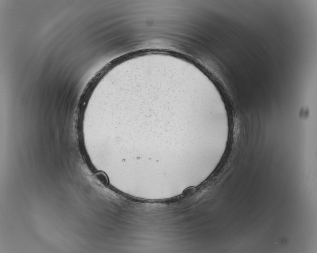 X0000111221068200907231435