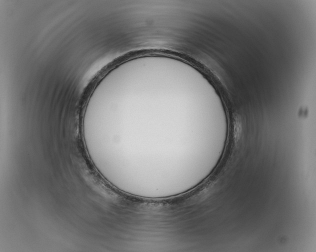 X0000111221069200907231435