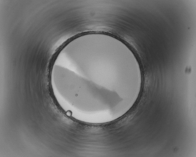 X0000111221071200907231435