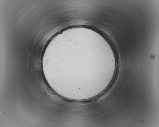 X0000111221073200907231435