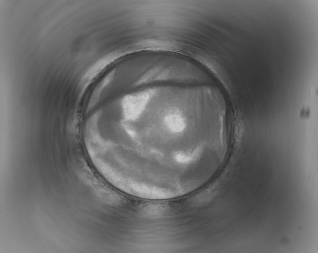 X0000111221074200907231435