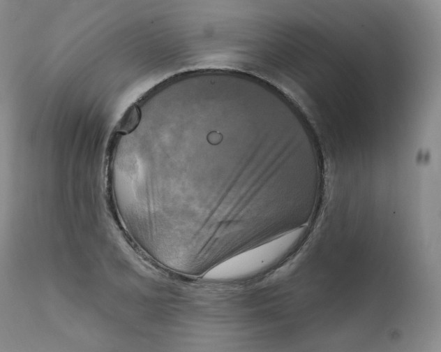 X0000111221077200907231435