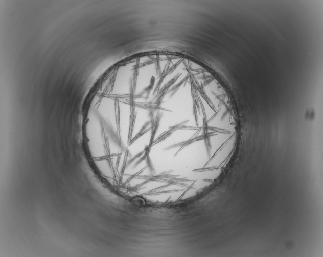 X0000111221079200907231435