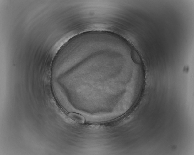 X0000111221081200907231435