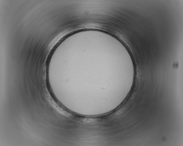 X0000111221082200907231435
