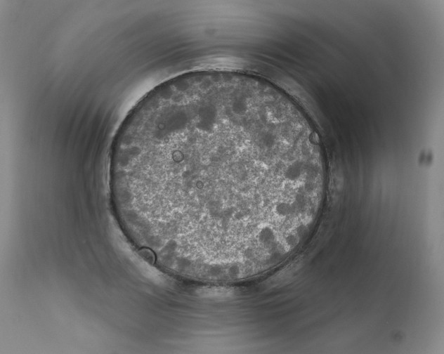 X0000111221083200907231435