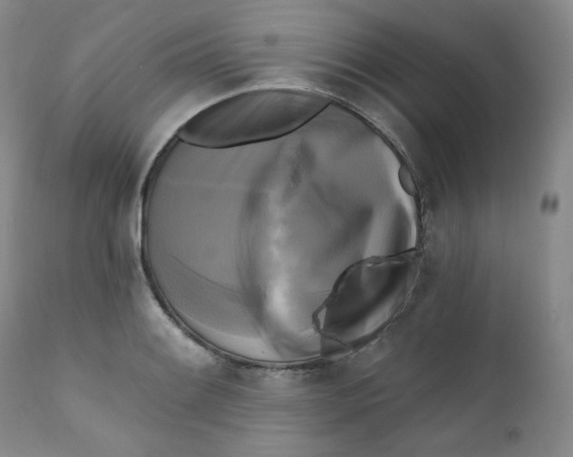 X0000111221084200907231435