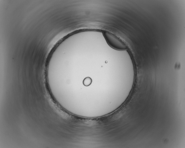 X0000111221085200907231435