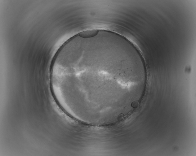 X0000111221088200907231435