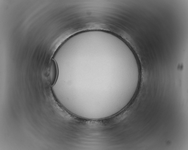 X0000111221089200907231435