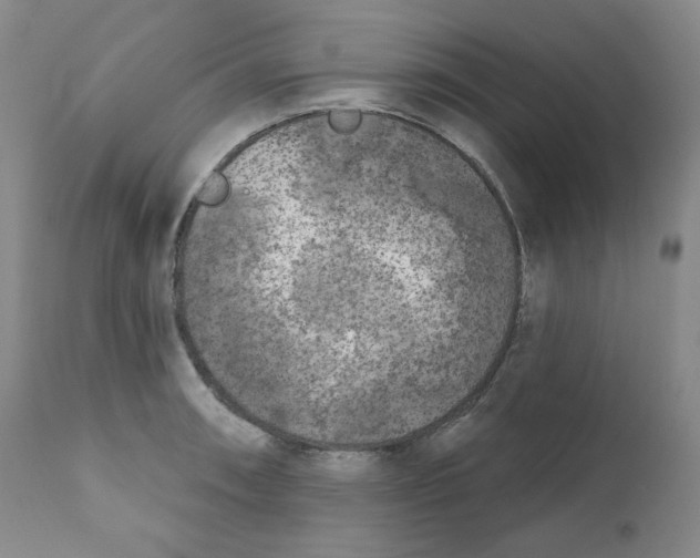 X0000111221090200907231435