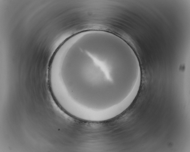 X0000111221095200907231435