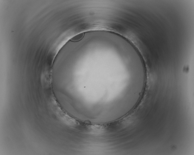 X0000111221097200907231435