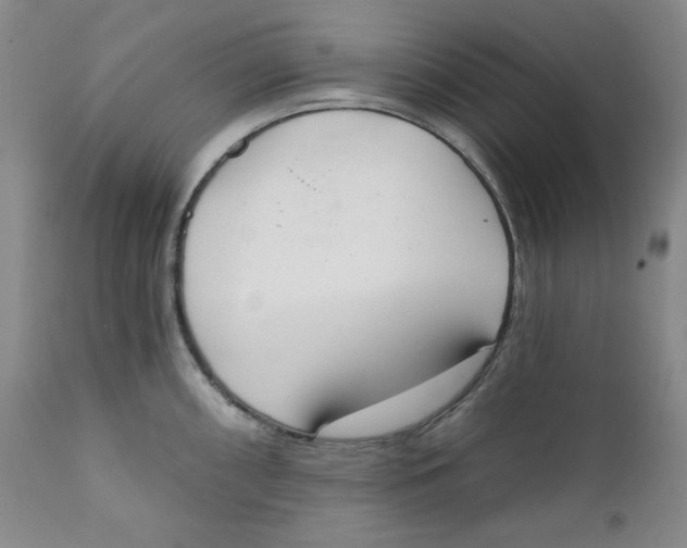 X0000111221098200907231435