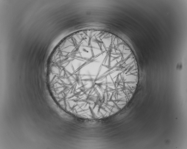 X0000111221099200907231435
