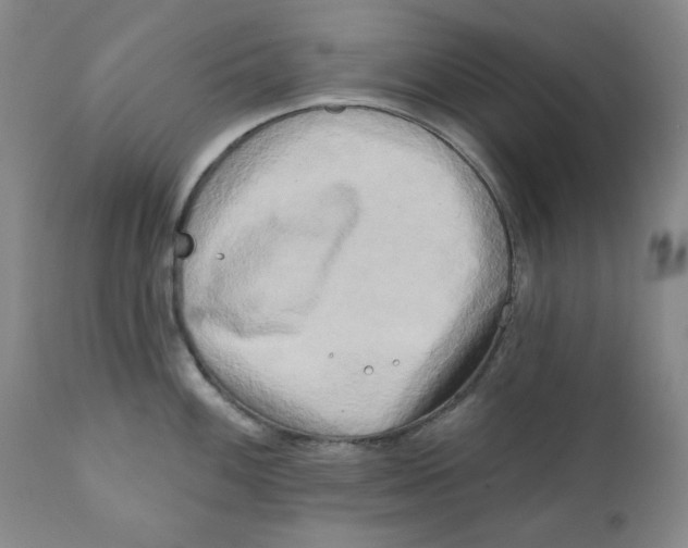 X0000111221100200907231435