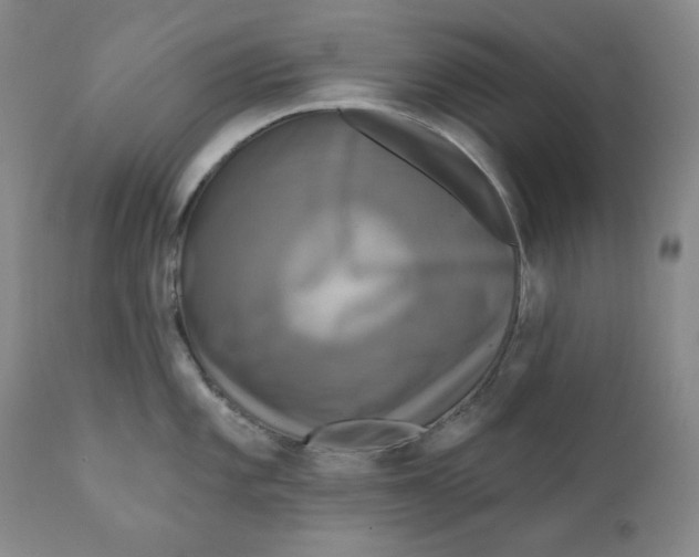 X0000111221101200907231435