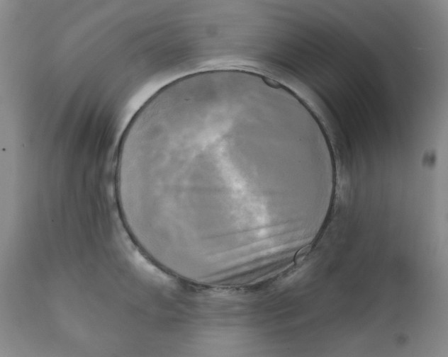 X0000111221102200907231435