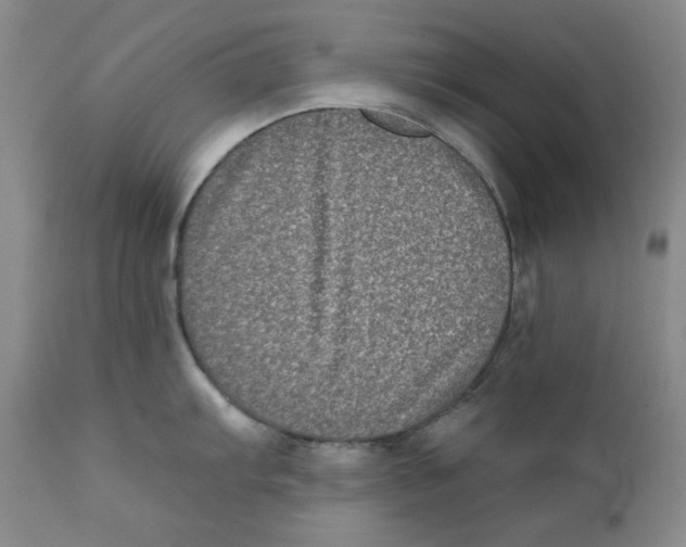 X0000111221103200907231435