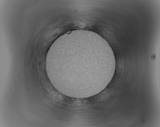 X0000111221105200907231434
