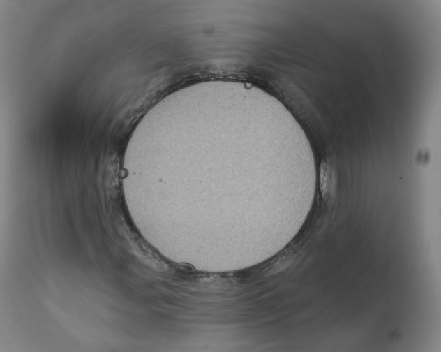 X0000111221107200907231434