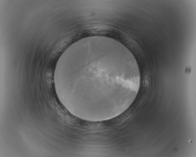 X0000111221108200907231434