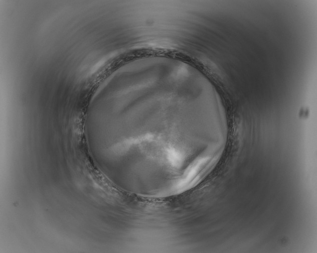 X0000111221110200907231434