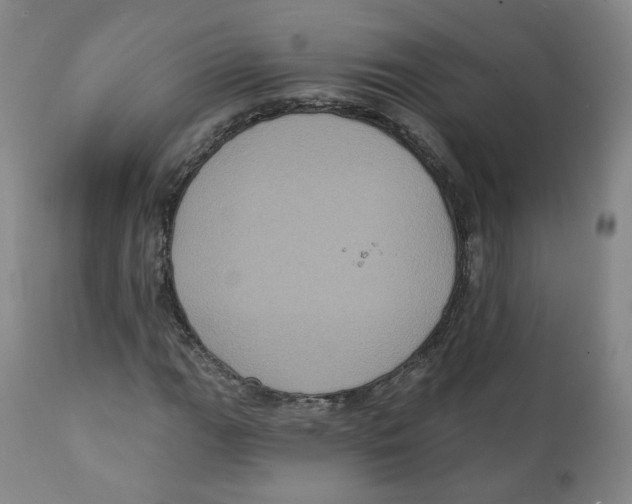 X0000111221111200907231434