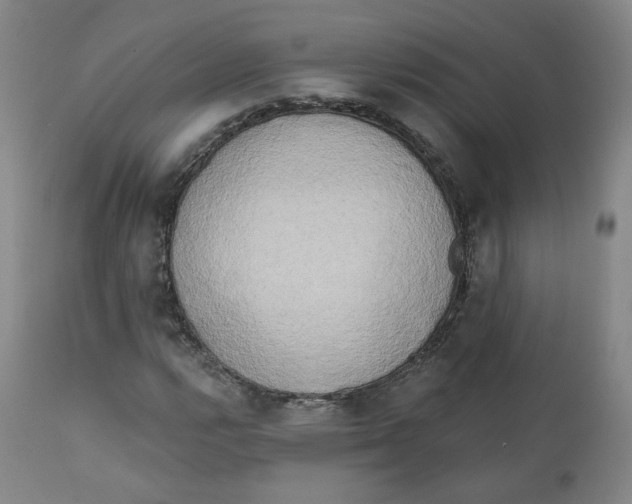 X0000111221112200907231434