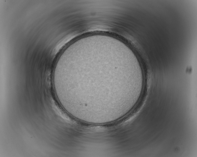 X0000111221113200907231434