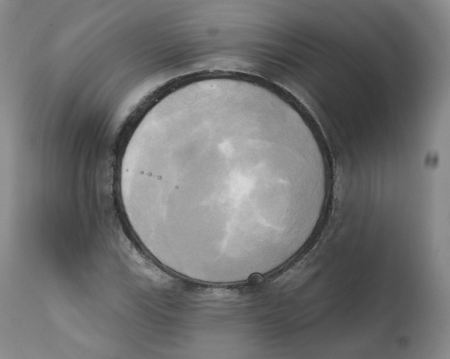 X0000111221115200907231434