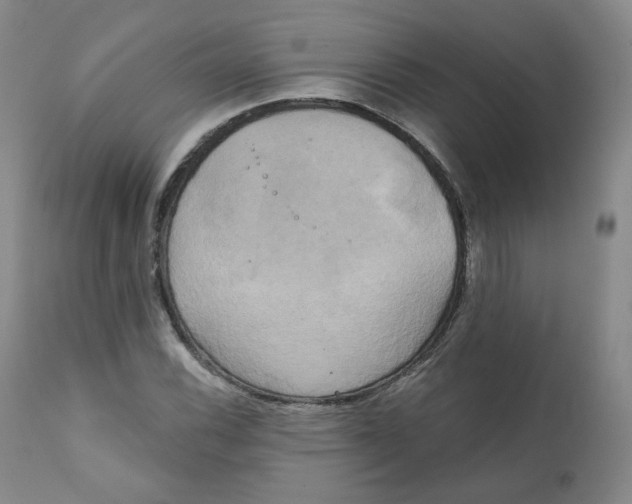 X0000111221116200907231434