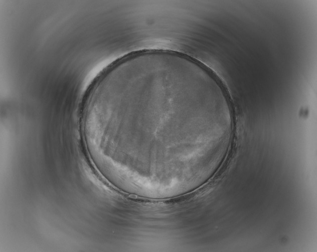 X0000111221120200907231434