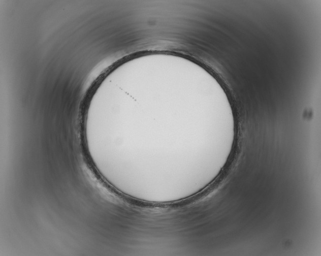 X0000111221122200907231434