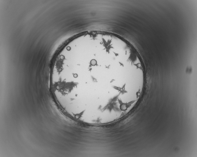 X0000111221123200907231434