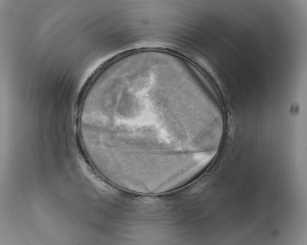 X0000111221124200907231434