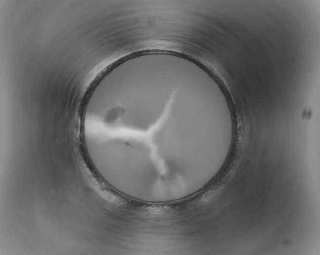 X0000111221125200907231434