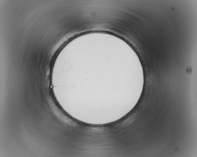 X0000111221126200907231434