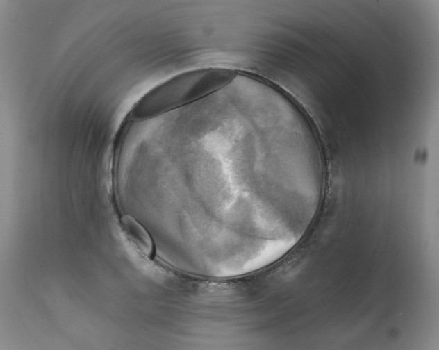 X0000111221128200907231434