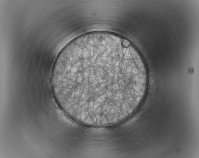 X0000111221129200907231434