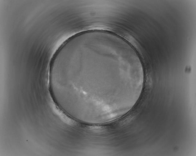 X0000111221132200907231434
