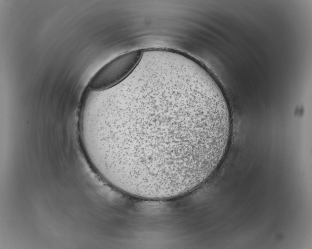 X0000111221134200907231434