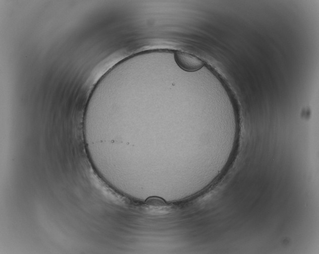 X0000111221137200907231434