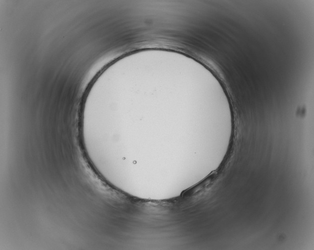 X0000111221138200907231434