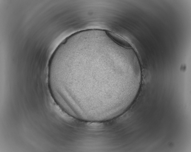 X0000111221140200907231434